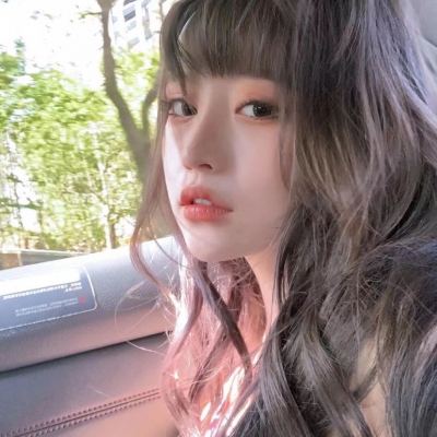 机器人大乱斗鲤鱼解说版下载